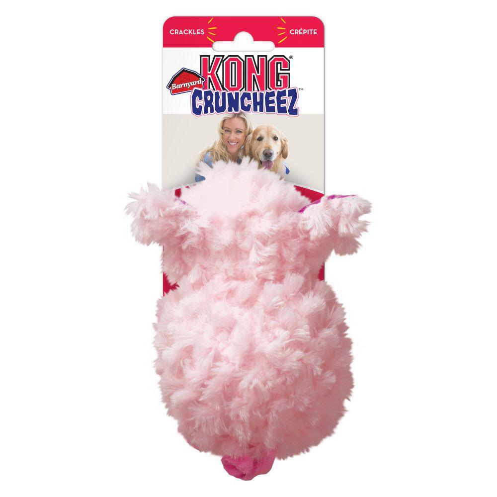 KONG Barnyard Cruncheez Pig Plush Dog Toy - Burlington, NC - Isley