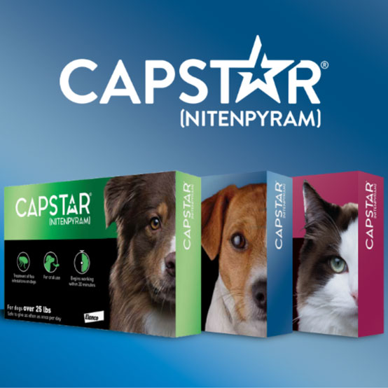 Capstar for Dogs & Cats Burlington, NC Isley Farm Supply