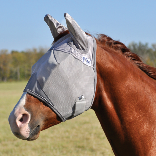 Cashel Crusader Fly Mask