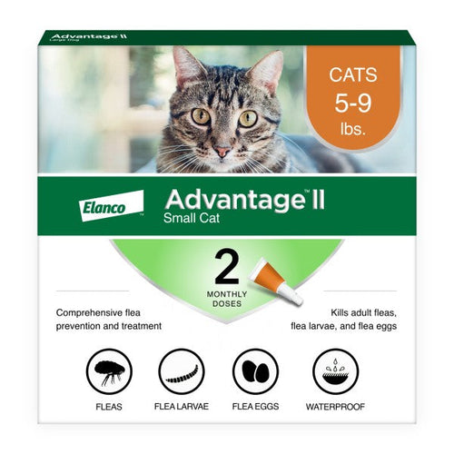 Advantage II Small Cat Vet-Recommended Flea Treatment & Prevention