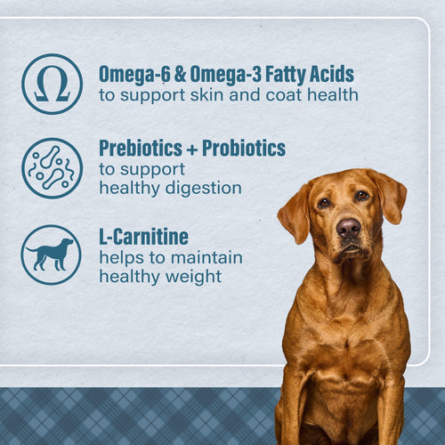 Nutrena®Loyall Life® Large Breed Chicken & Brown Rice Recipe Adult Dog Food