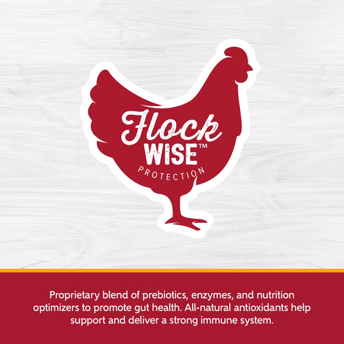 Kent Blue Seal Home Fresh Extra Egg Layer Pellet