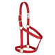 Weaver Basic Non-Adjustable Halter