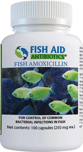 Fish aid antibiotics amoxicillin 250 mg 100 capsules - Burlington, NC