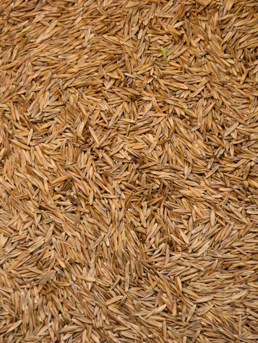 nufarm weedar 64 broadleaf herbicide Nufarm Weedar 64 - Burlington, NC