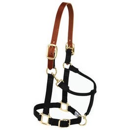 Horse Halter, Breakaway, Navy Nylon/Leather, 1-In., Large /2-Year Draft