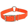 Dog Collar, waterproof, Orange, 1 x 22-in
