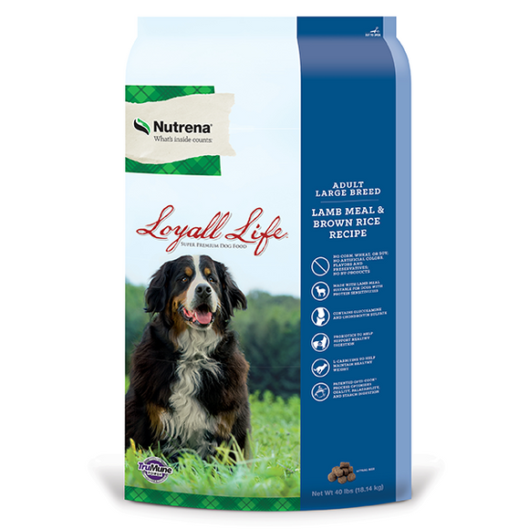 Nutrena river run dog food best sale