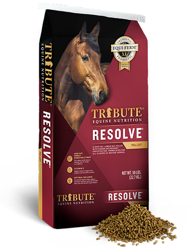 Tribute Resolve®