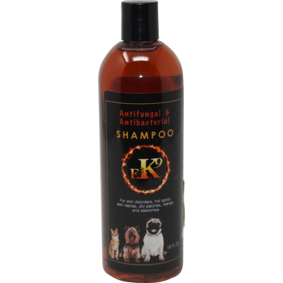 First companion best sale antifungal shampoo